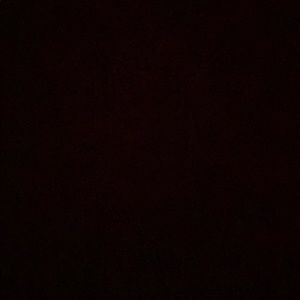 Meet your Posher, Ernest